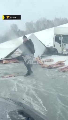Свиные туши оказались на дороге на трассе под Новосибирском