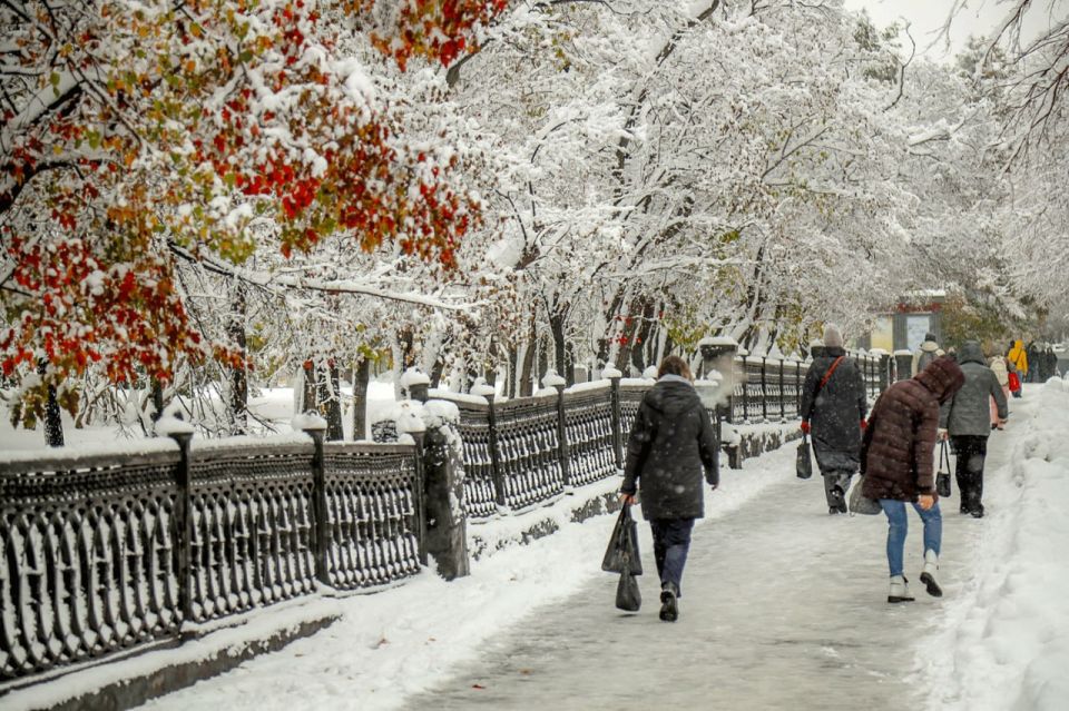 ������ � ������ �17� � �������