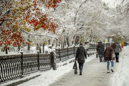 ������ � ������ �17� � �������