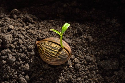 ��������� ������: ��� ��������� �� �������� � �������� �� �����������