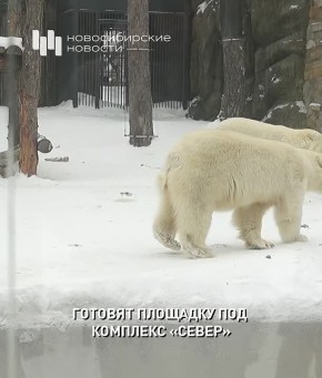 ����� �������� ��������� ����� �������� � ������������� ��������