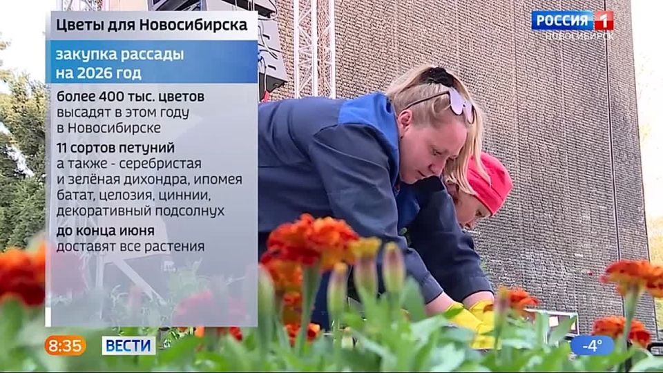 ���� � �������. ��� ���� ����� ����������� �������� ��������: ������������ ������� ������� �� 11 ��������� ������ � � ��� ����� 400 ����� ������! � ������ 33 ����