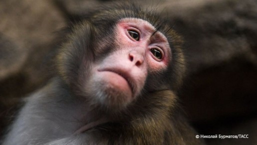 ��������� �������� ������ � ������������� �������� ��. ���� ������� � ���� �������� ���������� � 30 �������