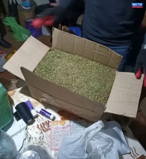 ����� 31 ��� ������ �� �����