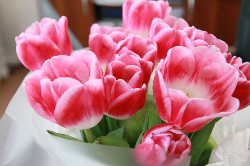 � ����� �������������� �������� ��� �������� ���������������� �������� ������������� ������� ���� ������� � ���� ������� ���������� � ���������� ������-�������������� � ���������� � �������� �����