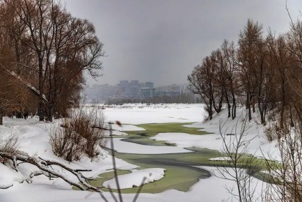 ���� � �������� � ������������� �������� �� ����������� �������� � ������������