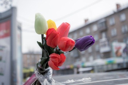 ��� 8 ����� ������� ��� � ���������� ���������� ������������� �������