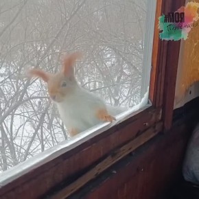 ����� ����?. � ���� �������� �� 4 ����� ���� �� ������� � ������������