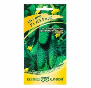 ������ ������ F1: ������ ������ � ������ �������