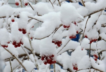 ������ ����! 10 ����� ��������� ��� ���������� �������: ������ �4�, ���� ��������� ����� �5�, ������� �6�, � � ���� � �� �9�