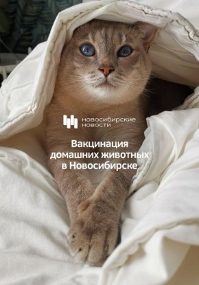 � ������� � ��������: �������� ���������� �������� ��������