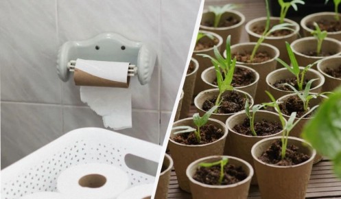 ��������� ���������� ��� �������: ��� ������������ ��������� ������