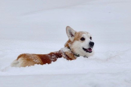 ������ ����, �����������!. ��������� � ������� ������� � ��������� ������