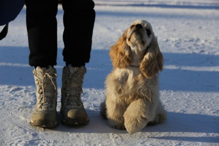 ����������� � �������� ��� �������� �� ������ �������� � ������������