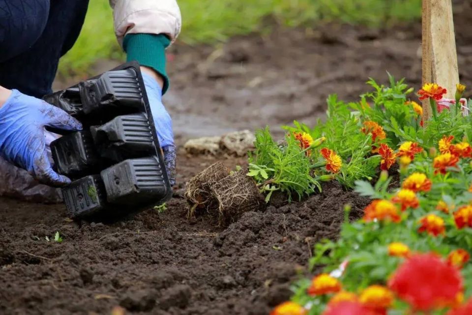 ������ ���������: ���� ����� ��������� � ������� ������� ����������� � 9 ���