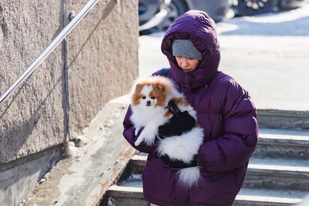 ������ ����� ����� ������ � ����������� � ���� �������� �������� 11 �����