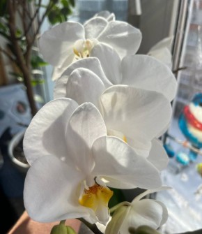 ��� ������������� �������� ���������� ��������� �������!