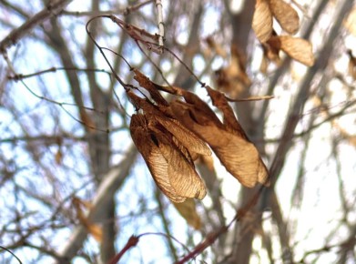 ���-�� �� �������� ���������� ����? ��-�� ��� � ������������ ����� ����� �� ��������