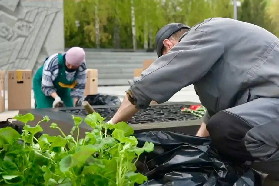 ���� ����� ������ ������� ����������� � ��� ������