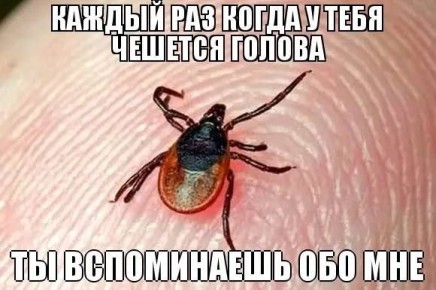 ��������������� ������ ���� ����� ���������� ������� ������������� �������