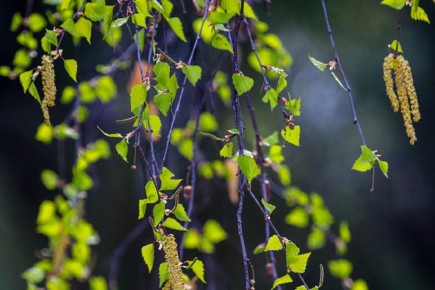 ������������ ������� ���� ����������� ��������������� �����