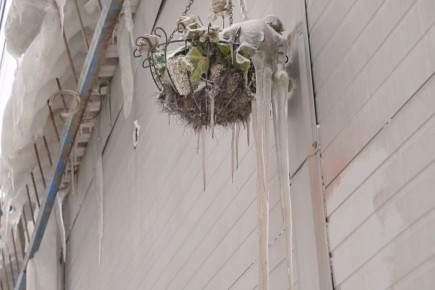 ��������� �������� ���� ������� �������� � ������� ������� � ������������