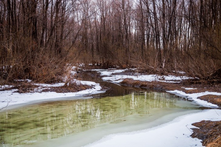 Самые опасные зоны половодья-2026 под Новосибирском назвали гидрологи