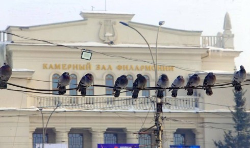 ������� �� ������� ������ ��������