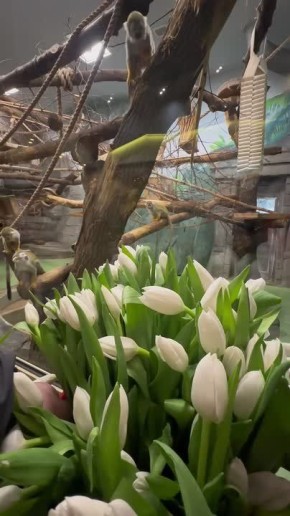 � ������������� �������� ������� �������� �������� ������� ��� ������������� � �� ������ ��������