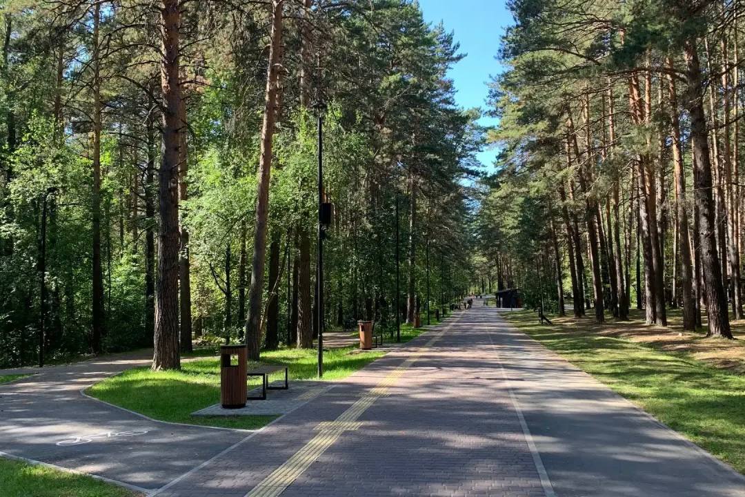 Максим Кудрявцев: До 26 марта включительно можно предложить свои идеи по благоустройству территорий, которые, по вашему мнению, нуждаются в улучшении в 2027 году