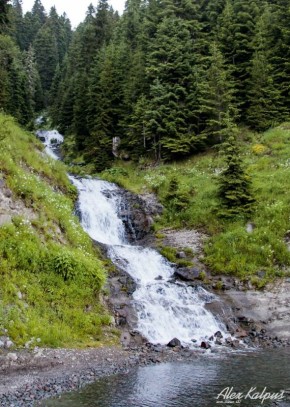 ����������� ����� ������� ��������: �������� ������ �������