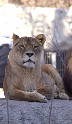 ������ �������� ����������� 10 ��� � ������������� ��������