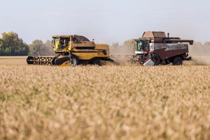 Новосибирские выпускники по агровузов получат до 500 тыс