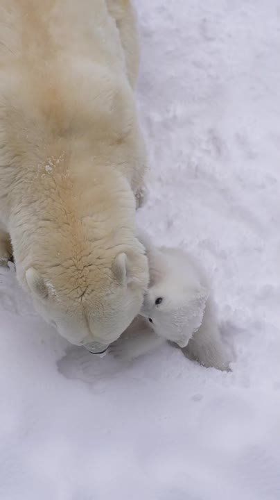 ����� ������� �������������� �������� ��� � ����� ����� ����� ���������� � 7 ������� � ��� ������� ����������