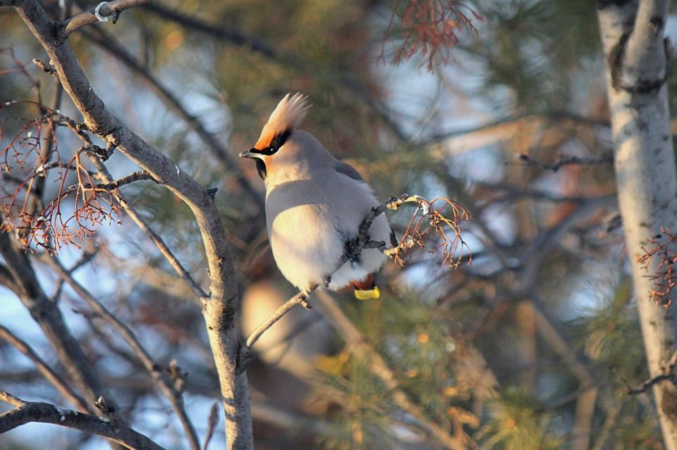 �� ������ ����������� ������: ��� ������ ��� ���� �������� �����������