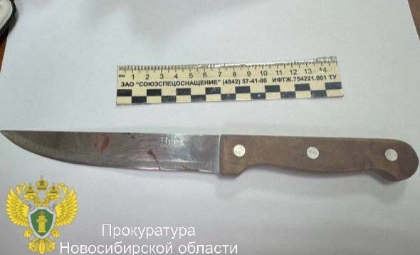 В Новосибирской области местный житель отправился в колонию за высказанную соседу угрозу убийством