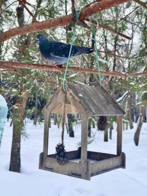 ����� ������ ���������� � �12� ��������, ���� ��������� �� �4�, � ������ ����������� ������� ����������� �� ������� �6�