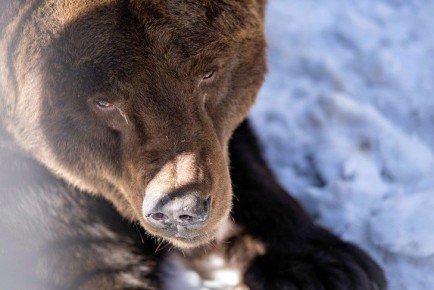 �������-��������� ���� � ���� ������������ ���������� � ������������� ��������