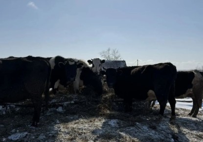 ��������� �������� ��������� � �������������� ����� ��������� ��� �������, � ������� ������ ����