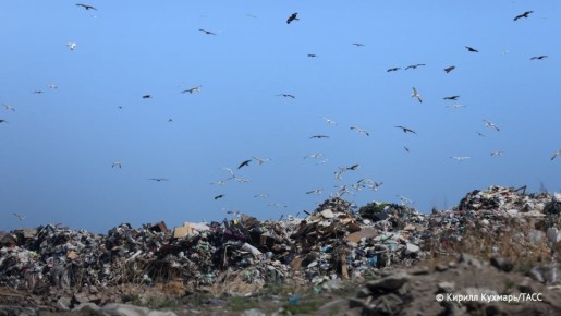 ������� ������������� � ������������ ����������� ������� �� ������������ � 2028 ����