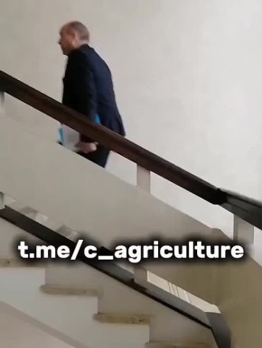 Сергей Колясников: Видео дня. Министр сельского хозяйства Новосибирской области Андрей Шинделов галопом убегает от фермера Светланы Паниной, у которой забили 200 голов скота