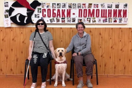 �����-��������� �������� ��� ����: ����������� �������� �� ������������