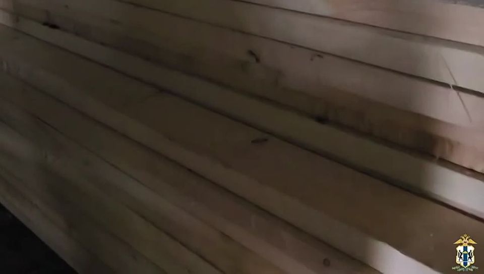 В Новосибирской области завершено расследование уголовного дела по фактам незаконной вырубки лесных насаждений