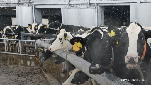 ������ ����� ����������� ����� �������� � ������� ���������� ������������� �������, ������ ���������� ������ ���������