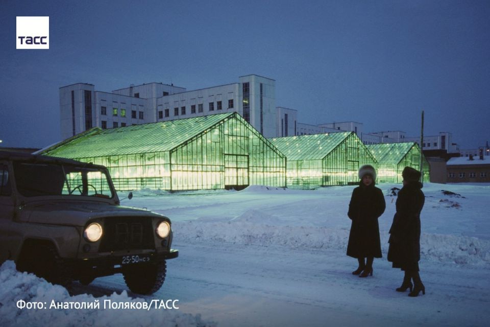 #архив_ТАСС_Сибирь. Тепличный блок институтов СО ВАСХНИЛ