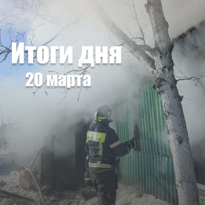 За сутки в Новосибирской области: