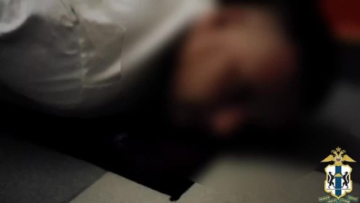 В Новосибирске сотрудниками полиции задержан мужчина, подозреваемый в распространении порнографических материалов