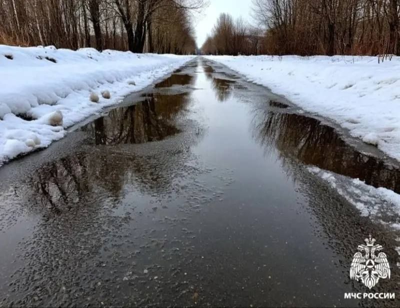 Пора расчищать дворы. В Новосибирской области в дневное время уверенно устанавливается плюсовая температура воздуха