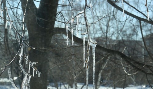 В это субботнее утро в Новосибирске –1, которые вместе с ветром и влажностью ощущаются как –6. Днём воздух прогреется до +3, но ветер не утихнет