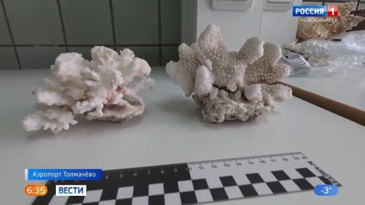 ������� �� ���� �����. ���������� ������� ����������, ����� ����������� ������� ������������ � ������������� ��������